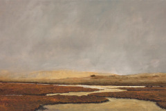 Wetlands
