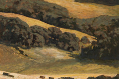 The Summer Field