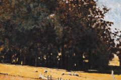 Pasture