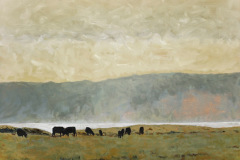 Cattle Tomales Bay 18x24